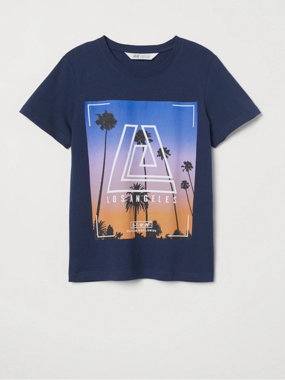 H&M Navy Graphic Tee with Sunset Palm Print